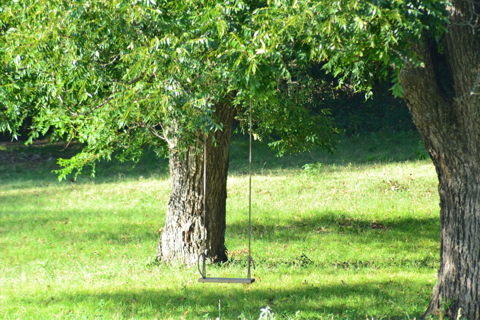 Shady Lonesome Dove Swing.JPG -  by 405 Exposure