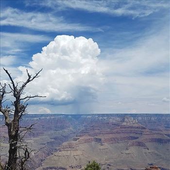 Incredible shower approaching through the Grand Canyon. Shot from South Rim.